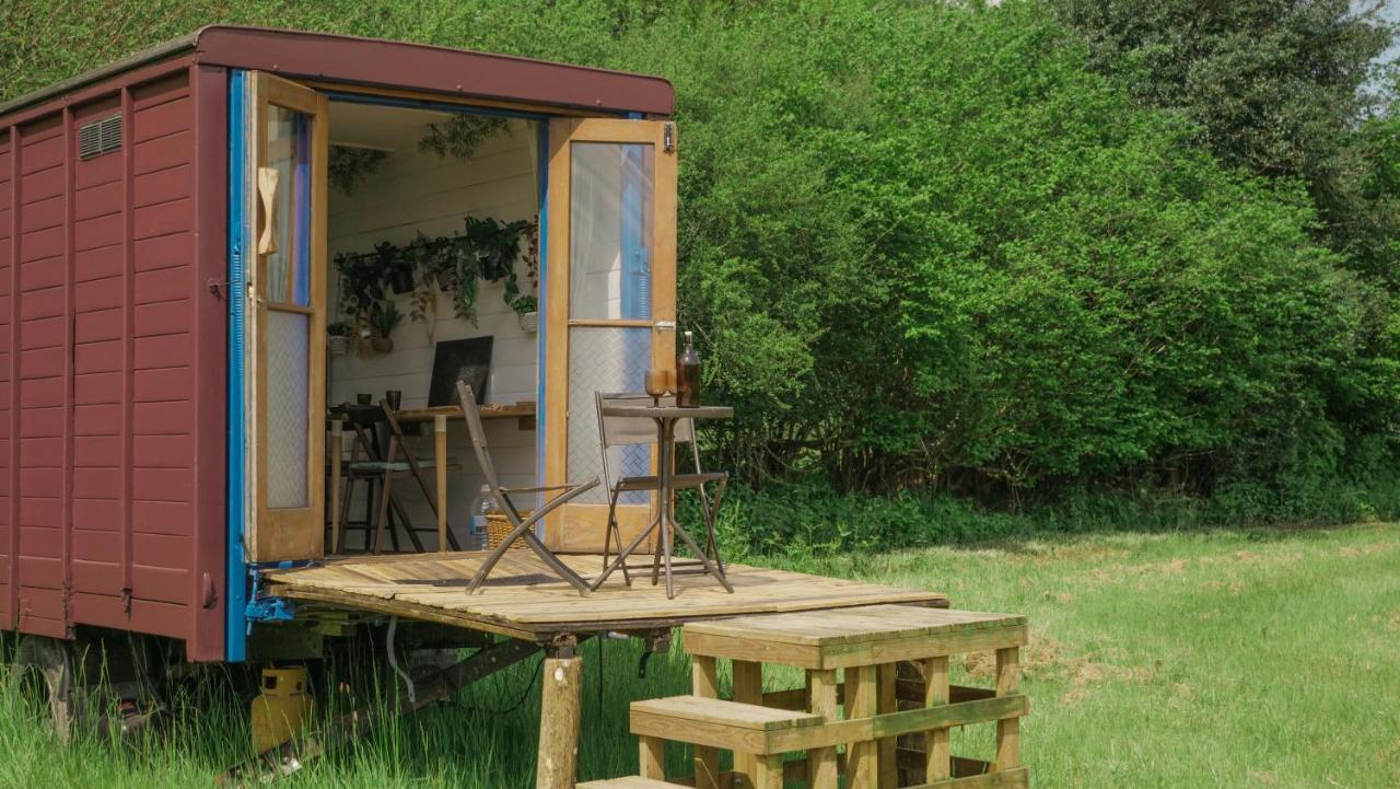 Quirky Vintage Horsebox Conversion With Stunning Views Of Ardingly Reservoir バルカム エクステリア 写真